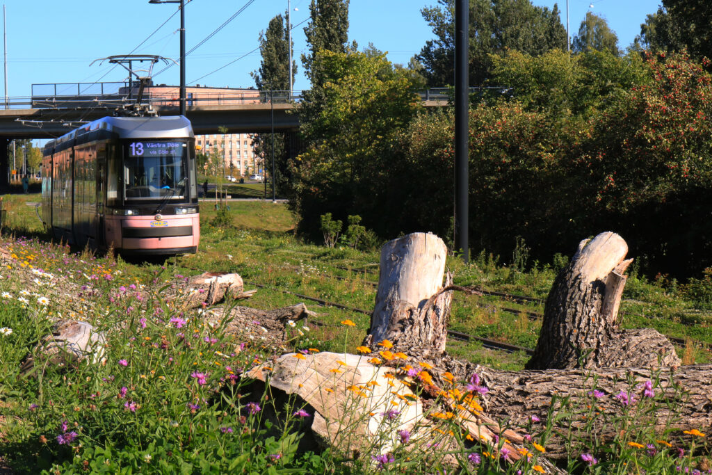 Raitiovaunu vehreän ympäristön keskellä