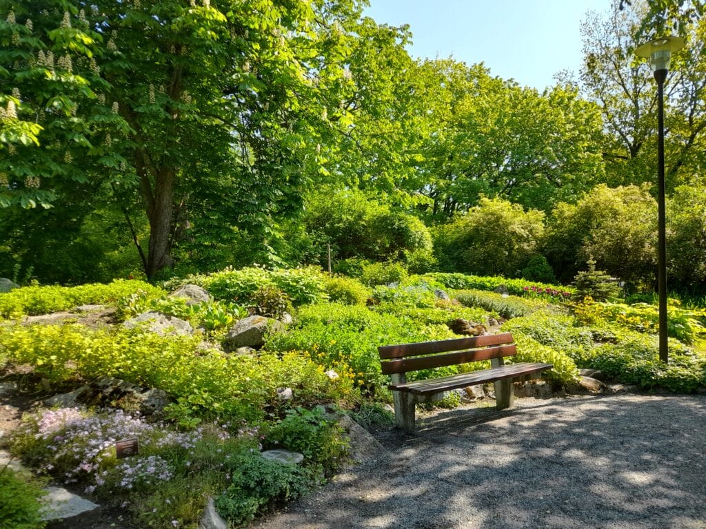 Puinen penkki sijaitsee sorapolulla rehevien, kukkivien kasvien ja puiden täyttämien puutarhojen vieressä kirkkaassa auringonvalossa. Penkin oikealla puolella seisoo korkea valaisinpylväs. .