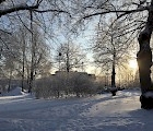 Talvinen puistokuva Jyväskylä.