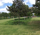 Esimerkki ulkomailta, Thames Barrier Park Lontossa. Nurmialueen keskellä olevat puistopuiden alustat on annettu kasvaa niityksi. Kuva: Seppo Närhi