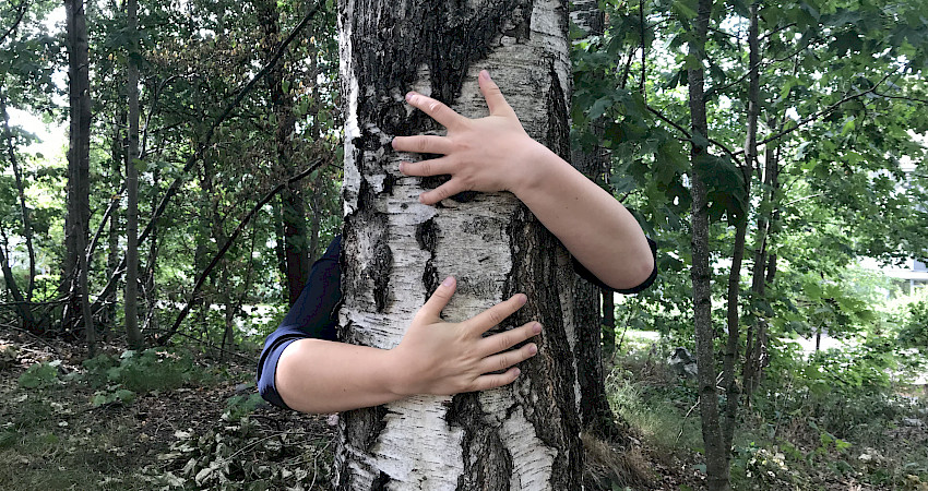 Halaa puuta - arvosta lähiympäristöäsi! 26.8.-1.9.2019 #puunhalausviikko