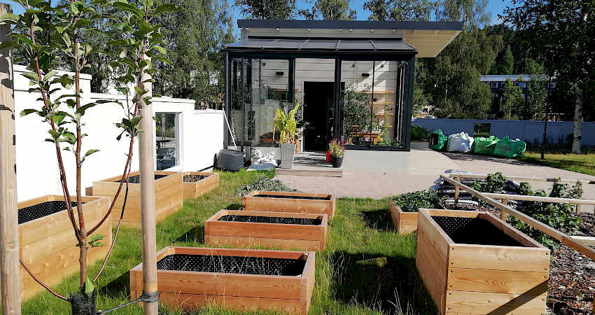 Lahdessa Humpulan uuden päiväkodin pihalla on kasvihuone, istutuslaatikoita, hedelmäpuita ja marjapensaita. Kuva: Marja Roslund.